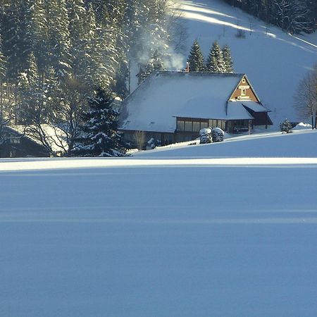 Hotel Thaelerhaeusle Furtwangen Exteriér fotografie
