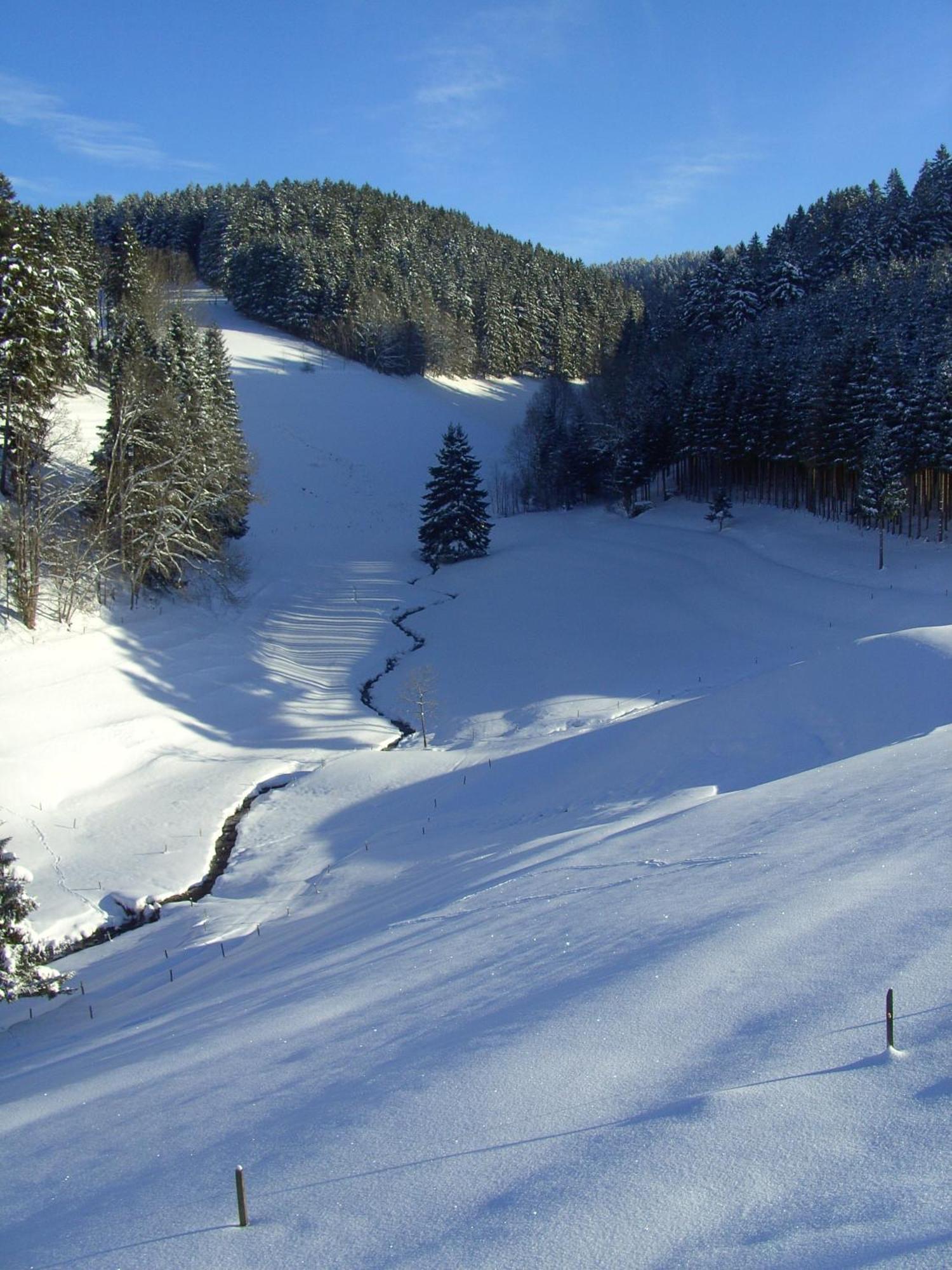 Hotel Thaelerhaeusle Furtwangen Exteriér fotografie