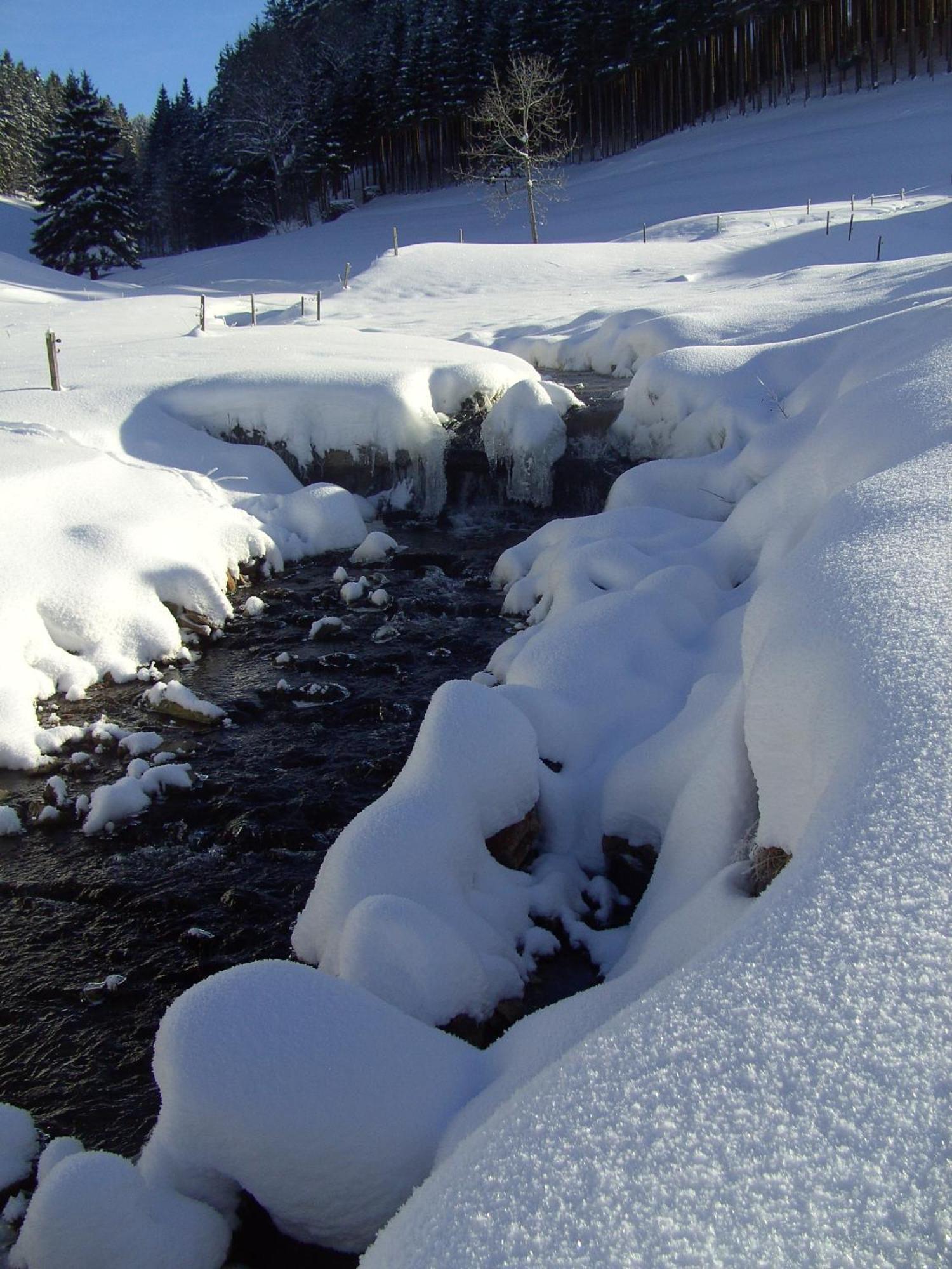 Hotel Thaelerhaeusle Furtwangen Exteriér fotografie